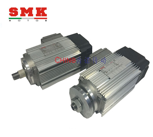 SPE Precision Saw Blade Motor