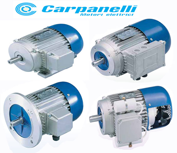 Italian Carpanelli motor