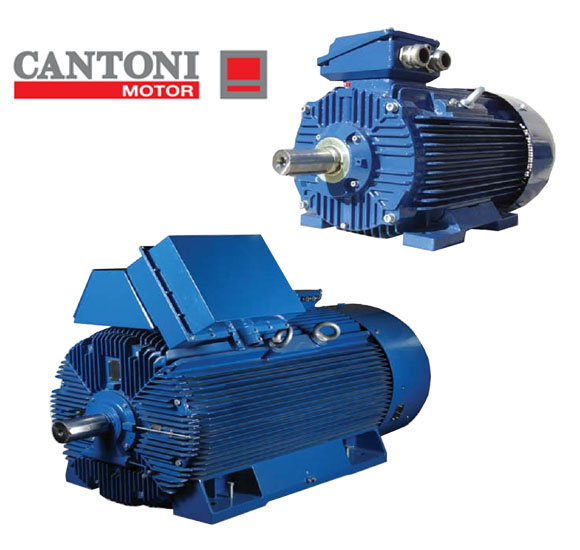 Cantoni motor, Cantoni motor