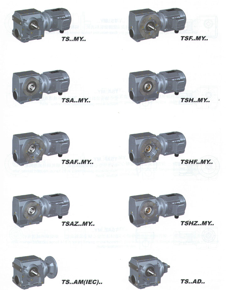 S型涡轮齿轮减速机,TS蜗轮-齿轮减速电机(图3)