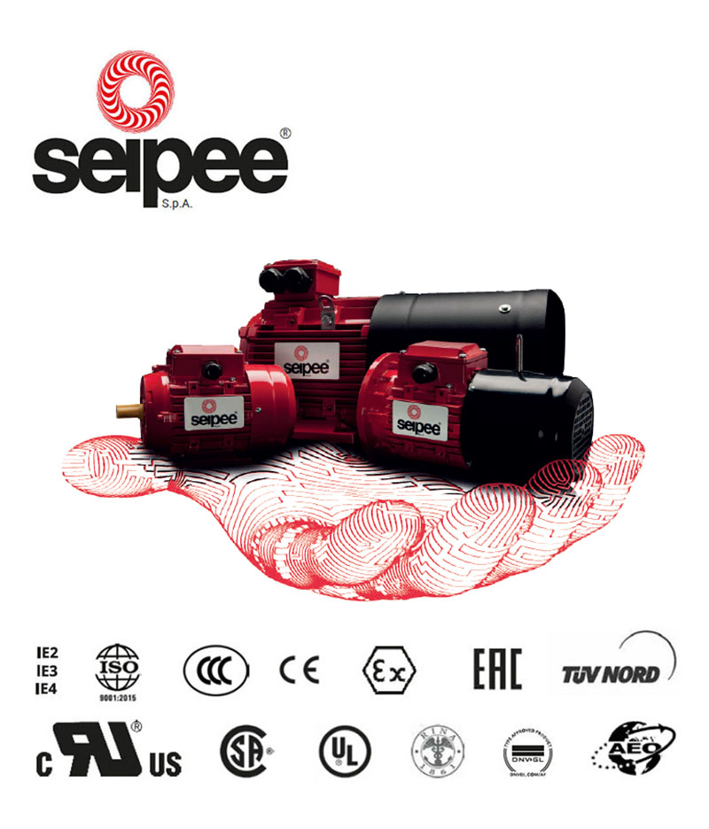 意大利seipee電機(jī) 西帕剎車馬達(dá)(圖1)